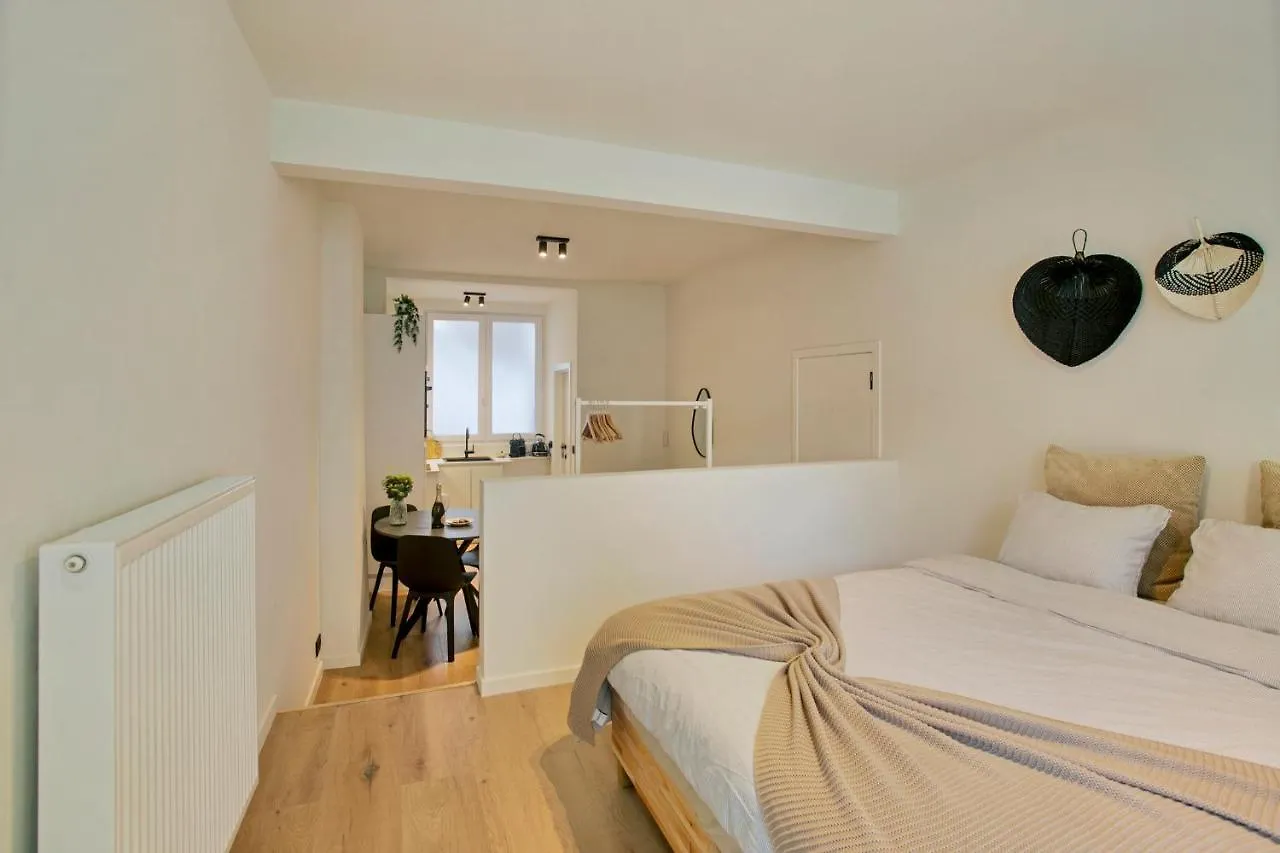 New Renovated Condo'S @ Trendy South Antwerp 0*,  Belgium